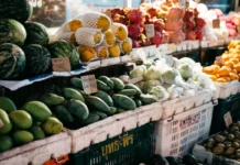 “Super El Niño” pode causar choque nos preços dos alimentos até 2028 “super-el-nino”-pode-causar-choque-nos-precos-dos-alimentos-ate-2028