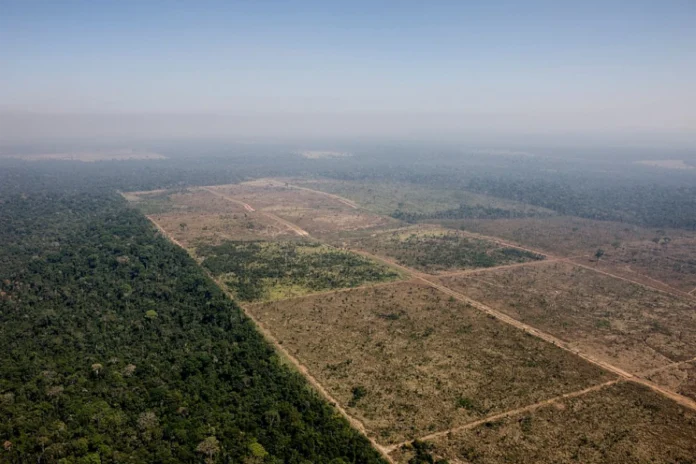 senado-reduz-floresta-do-jamanxim-e-abre-caminho-para-mais-desmatamento-no-para senado-reduz-floresta-do-jamanxim-e-abre-caminho-para-mais-desmatamento-no-para