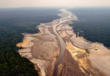 Amazônia enfrenta novo El Niño sem se recuperar de efeitos da seca de 2023-24 amazonia-enfrenta-novo-el-nino-sem-se-recuperar-de-efeitos-da-seca-de-2023-24