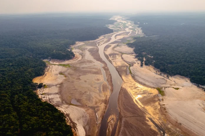 amazonia-enfrenta-novo-el-nino-sem-se-recuperar-de-efeitos-da-seca-de-2023-24 amazonia-enfrenta-novo-el-nino-sem-se-recuperar-de-efeitos-da-seca-de-2023-24