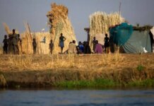 Fome mundial atinge 645 milhões de pessoas, diz relatório da ONU fome-mundial-atinge-645-milhoes-de-pessoas,-diz-relatorio-da-onu