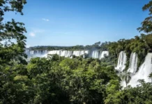Brasil pode transformar crise climática na sua maior oportunidade econômica brasil-pode-transformar-crise-climatica-na-sua-maior-oportunidade-economica