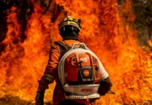 MapBiomas: área queimada cai em 2025 e interrompe sequência de altas mapbiomas:-area-queimada-cai-em-2025-e-interrompe-sequencia-de-altas