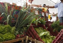 Decreto adia exigência de CNPJ para autônomos e produtores rurais decreto-adia-exigencia-de-cnpj-para-autonomos-e-produtores-rurais