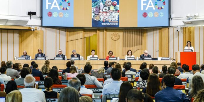brasil-continua-fora-do-mapa-da-fome,-aponta-relatorio-da-onu brasil-continua-fora-do-mapa-da-fome,-aponta-relatorio-da-onu