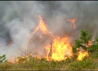 tocantins-suspende-queimas-controladas-sob-risco-critico-de-incendios;-veja-o-que-muda