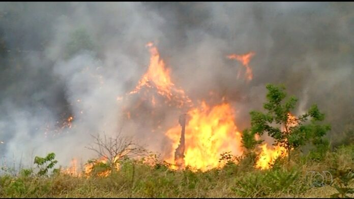 tocantins-suspende-queimas-controladas-sob-risco-critico-de-incendios;-veja-o-que-muda tocantins-suspende-queimas-controladas-sob-risco-critico-de-incendios;-veja-o-que-muda