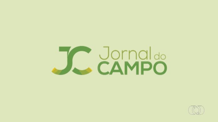 videos:-jornal-do-campo-–-to-de-domingo,-26-de-julho-de-2026