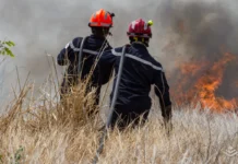 Incêndios florestais provocam evacuação de milhares de pessoas na França e Espanha incendios-florestais-provocam-evacuacao-de-milhares-de-pessoas-na-franca-e-espanha