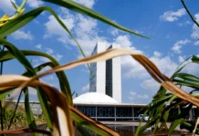 Jabutis em projeto no Senado podem custar até R$ 1,5 trilhão na conta de luz jabutis-em-projeto-no-senado-podem-custar-ate-r$-1,5-trilhao-na-conta-de-luz