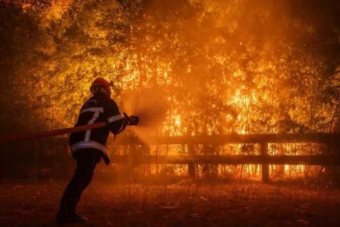 incendios-florestais-se-intensificam-na-franca-e-espanha