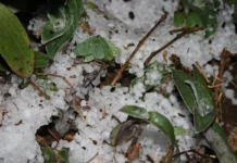 Chuva com granizo e ventos de 85 km/h destelha mais de mil casas no RS chuva-com-granizo-e-ventos-de-85-km/h-destelha-mais-de-mil-casas-no-rs