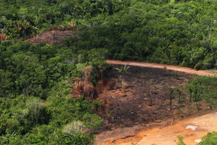 mpf-mira-cvm-contra-flexibilizacao-de-reporte-de-sustentabilidade-de-empresas