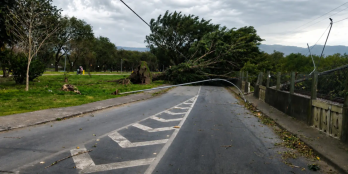 vento-chega-a-125-km/h-e-provoca-ao-menos-duas-mortes-em-sao-paulo