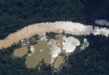 Investigação revela relação corrupta entre PMs e garimpeiros na Terra Yanomami investigacao-revela-relacao-corrupta-entre-pms-e-garimpeiros-na-terra-yanomami