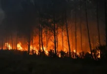 Onda de calor espalha focos de incêndio em Itália e Grécia onda-de-calor-espalha-focos-de-incendio-em-italia-e-grecia