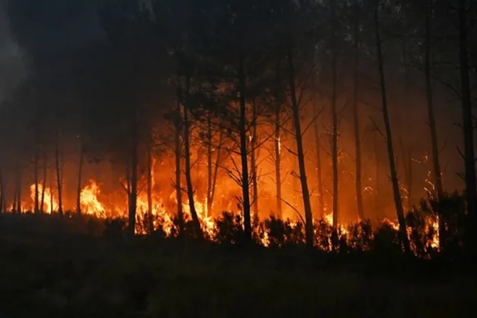onda-de-calor-espalha-focos-de-incendio-em-italia-e-grecia