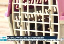 VÍDEOS: Jornal Anhanguera 2ª Edição-TO de quinta-feira, 30 de julho de 2026 videos:-jornal-anhanguera-2a-edicao-to-de-quinta-feira,-30-de-julho-de-2026