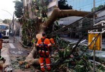 Rede elétrica mais resiliente requer investimento de concessionárias rede-eletrica-mais-resiliente-requer-investimento-de-concessionarias