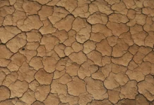 Organização Meteorológica Mundial prevê intensificação de El Niño a partir de agosto organizacao-meteorologica-mundial-preve-intensificacao-de-el-nino-a-partir-de-agosto