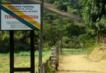 Proteção a indígenas sofre com lentidão e desinteresse do poder público protecao-a-indigenas-sofre-com-lentidao-e-desinteresse-do-poder-publico