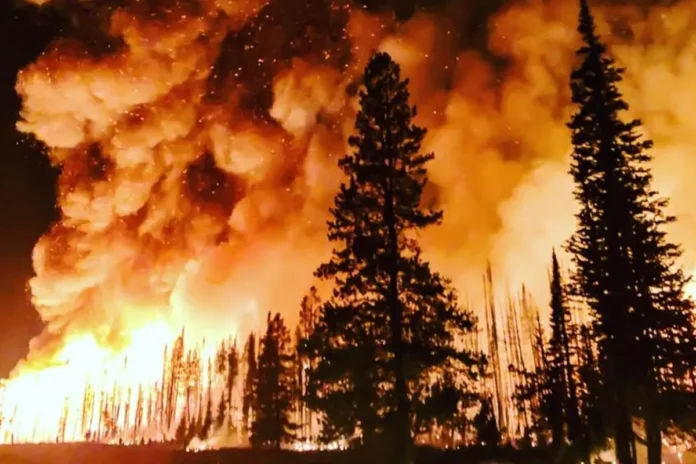mudancas-climaticas-dobraram-chance-de-incendios-florestais-devastadores-no-canada