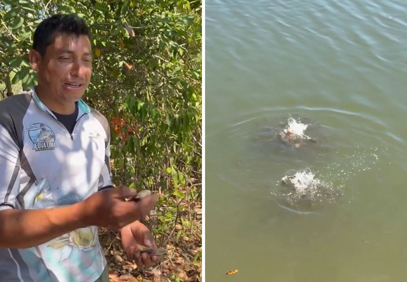 Pescador mostra lago repleto de piranhas no TO e brinca: ‘Não é bom banhar aqui’ pescador-mostra-lago-repleto-de-piranhas-no-to-e-brinca:-‘nao-e-bom-banhar-aqui’