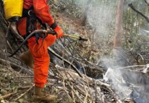 Colombianas que morreram na queda de helicóptero eram avó, mãe e filha colombianas-que-morreram-na-queda-de-helicoptero-eram-avo,-mae-e-filha