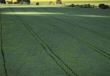 Senado aprova plano para fabricação de fertilizantes no Brasil senado-aprova-plano-para-fabricacao-de-fertilizantes-no-brasil