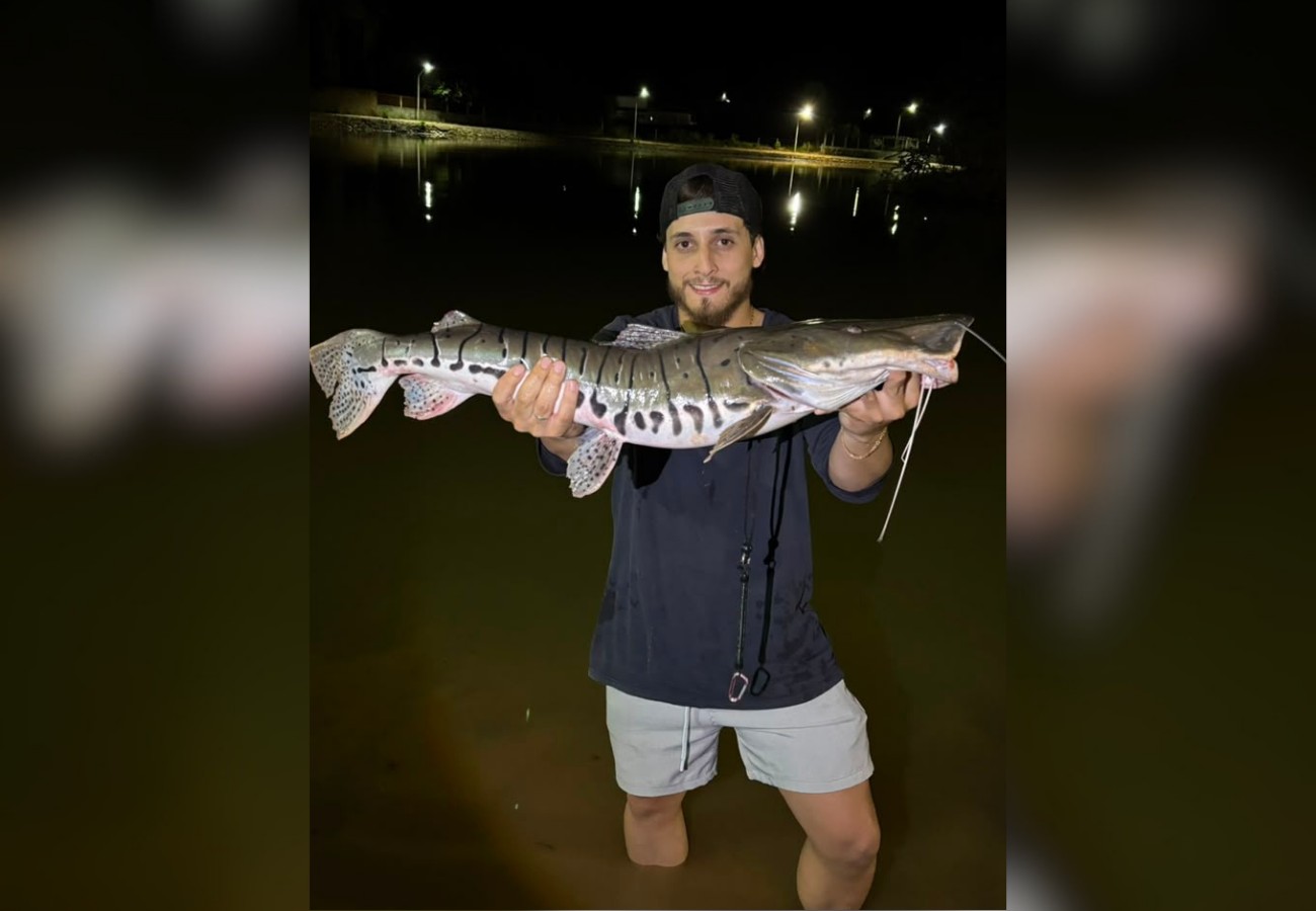 jovem-pesca-surubim-cachara-em-lago-e-se-surpreende-com-tamanho:-‘achei-que-era-um-jacare’ jovem-pesca-surubim-cachara-em-lago-e-se-surpreende-com-tamanho:-‘achei-que-era-um-jacare’