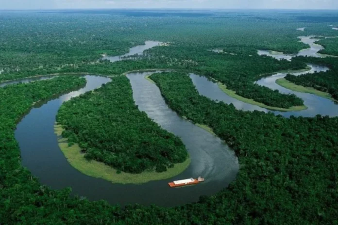 avanco-do-agro-reduz-vegetacao-nativa-do-brasil,-aponta-mapbiomas