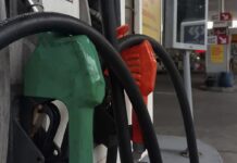 Segunda maior refinaria do país reduz preço da gasolina em 11,3% segunda-maior-refinaria-do-pais-reduz-preco-da-gasolina-em-11,3%