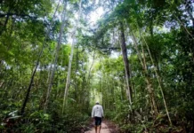 “Conselhão” cobra avaliação de investimentos do Fundo Clima “conselhao”-cobra-avaliacao-de-investimentos-do-fundo-clima