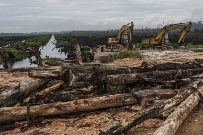 enquanto-cai-no-brasil,-desmatamento-amazonico-explode-na-bolivia