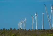 Projeto mapeia caminhos para economia verde no Nordeste projeto-mapeia-caminhos-para-economia-verde-no-nordeste