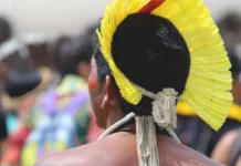 CIMI: Violência contra indígenas no Brasil aumentou em 2025 cimi:-violencia-contra-indigenas-no-brasil-aumentou-em-2025
