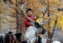 COP17 da Desertificação começa na Mongólia com foco em solo e seca cop17-da-desertificacao-comeca-na-mongolia-com-foco-em-solo-e-seca