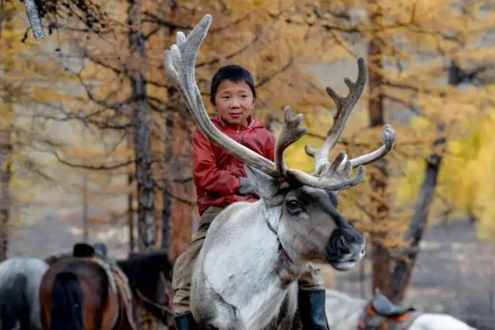 cop17-da-desertificacao-comeca-na-mongolia-com-foco-em-solo-e-seca