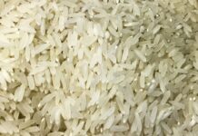 Terremoto: Brasil doará 10 toneladas de arroz à Colômbia terremoto:-brasil-doara-10-toneladas-de-arroz-a-colombia