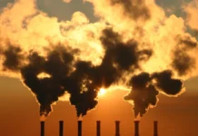Observatório do Clima lança pacote de ações para reduzir emissões de metano no Brasil observatorio-do-clima-lanca-pacote-de-acoes-para-reduzir-emissoes-de-metano-no-brasil