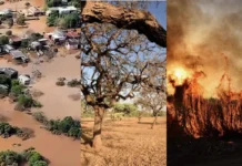 El Niño caminha para ser o mais forte desde o século 19, projeta Met Office el-nino-caminha-para-ser-o-mais-forte-desde-o-seculo-19,-projeta-met-office