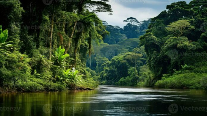 exemplo-para-exploracao-na-foz-do-amazonas,-guiana-sofre-com-“maldicao-do-petroleo”