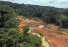 Justiça ordena suspensão de garimpos na Amazônia que não provarem origem lícita de mercúrio justica-ordena-suspensao-de-garimpos-na-amazonia-que-nao-provarem-origem-licita-de-mercurio