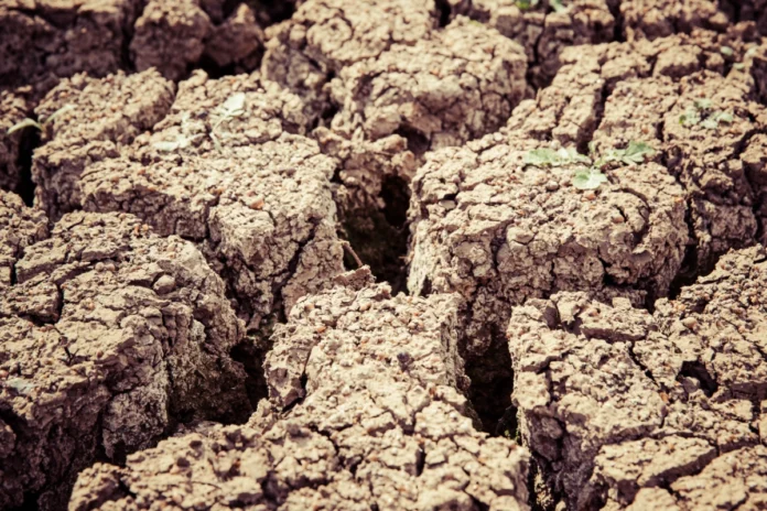 cop17-da-desertificacao-entra-na-reta-final-tentando-destravar-financiamento