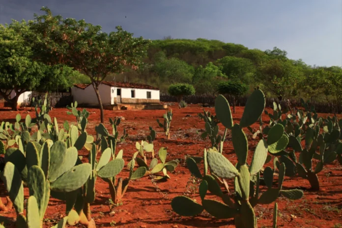 cop17-de-desertificacao:-brasil-apresenta-meta-para-neutralidade-da-degradacao-da-terra