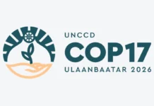 Combate à seca ganha fundo para atrair capital privado na COP17 da Desertificação combate-a-seca-ganha-fundo-para-atrair-capital-privado-na-cop17-da-desertificacao