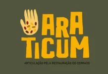 ONU premia rede colaborativa brasileira voltada à conservação do Cerrado onu-premia-rede-colaborativa-brasileira-voltada-a-conservacao-do-cerrado