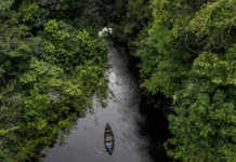 Cenários e Custos da Transição Ecológica no Brasil cenarios-e-custos-da-transicao-ecologica-no-brasil
