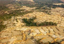 MPF pede condenação de ex-servidores da FUNAI por propina na TI Yanomami mpf-pede-condenacao-de-ex-servidores-da-funai-por-propina-na-ti-yanomami
