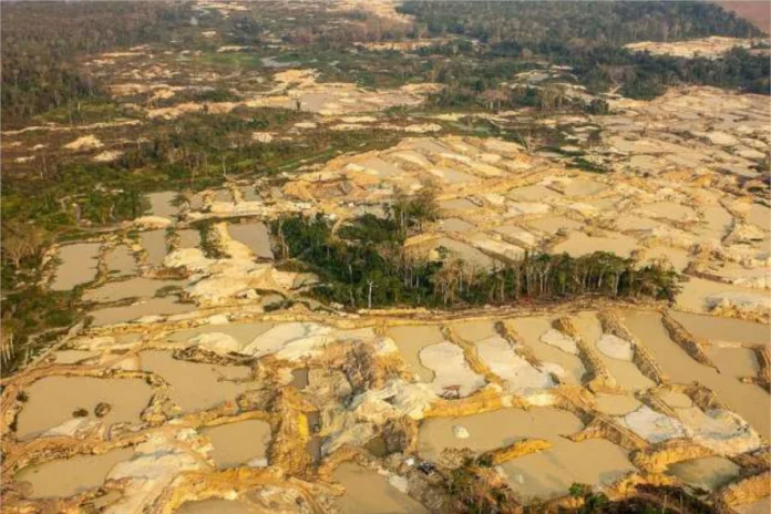 mpf-pede-condenacao-de-ex-servidores-da-funai-por-propina-na-ti-yanomami